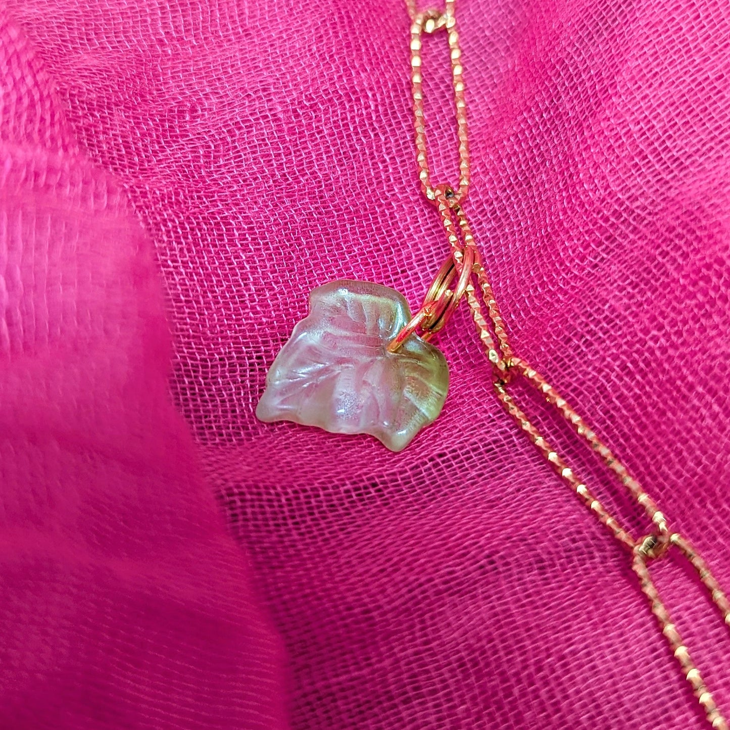 Feuille de Lierre
