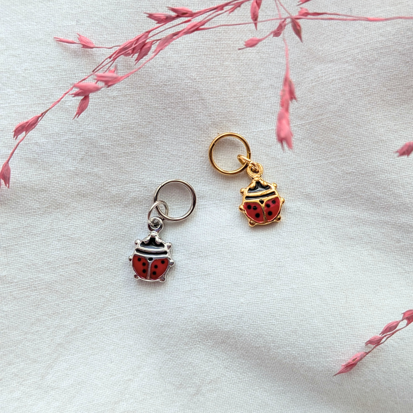 Coccinnelle