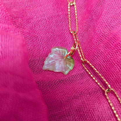 Feuille de Lierre