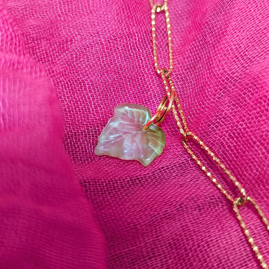 Feuille de Lierre